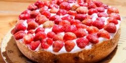 Strawberry Yogurt Shortcake